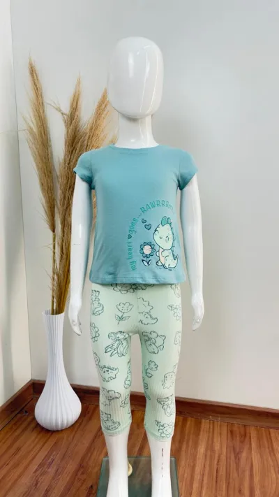 CONJ FEM INF MM+LEG
