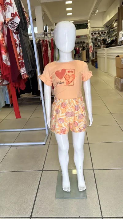 CONJ FEM INF MM+SHT R120