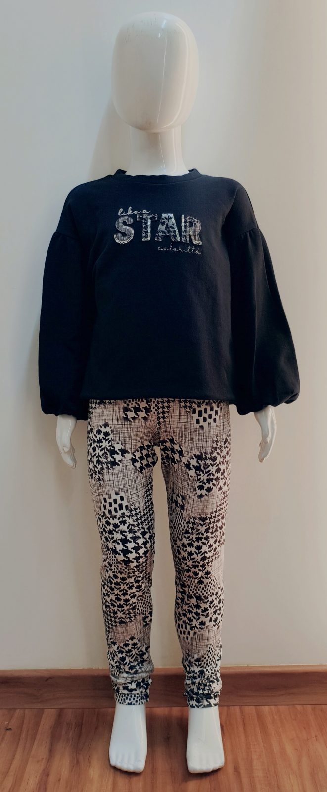 CONJ FEM INF MLTM R120