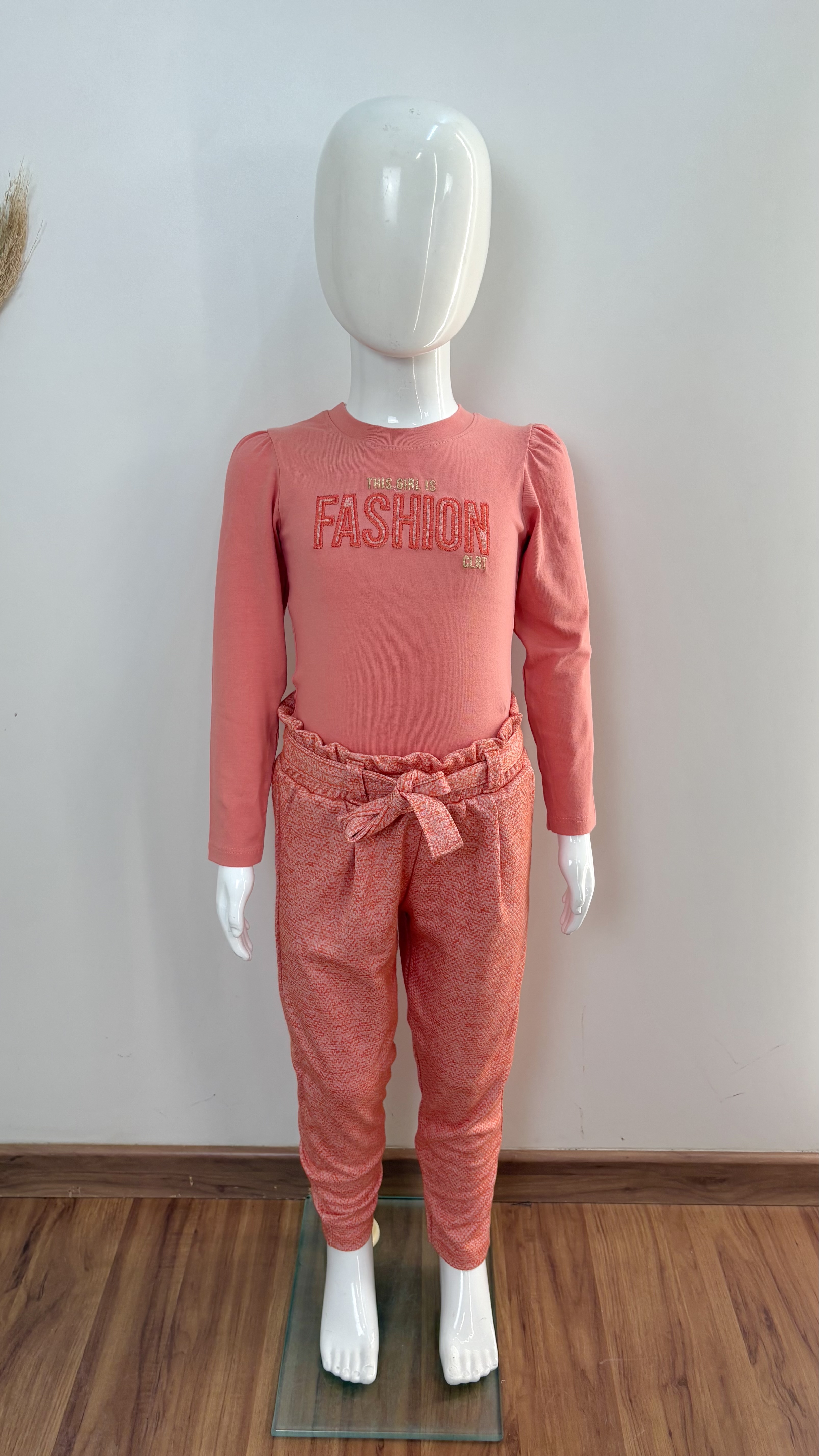 CONJ FEM INF ML R120