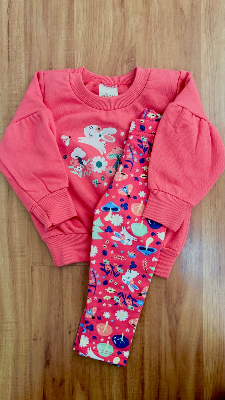 CONJ FEM INF MLTM R120