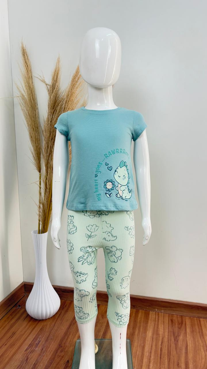 CONJ FEM INF MM+LEG