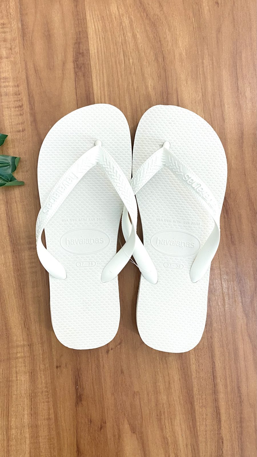 CHINELO UNSX M44