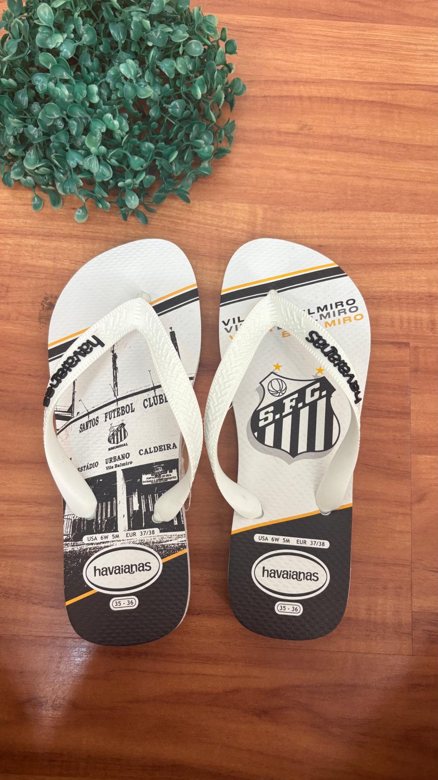 CHINELO UNSX