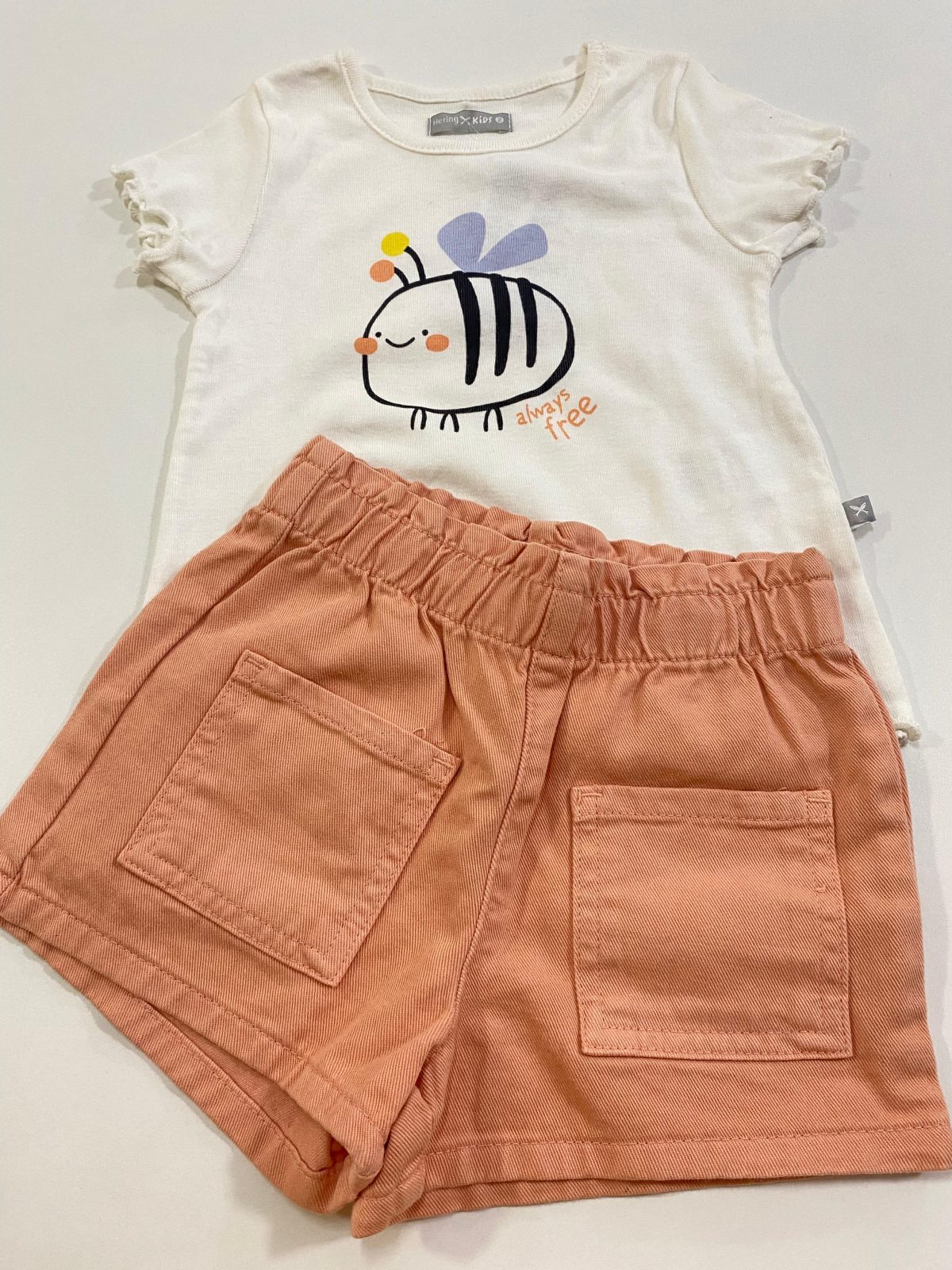 CONJ FEM INF MM R06