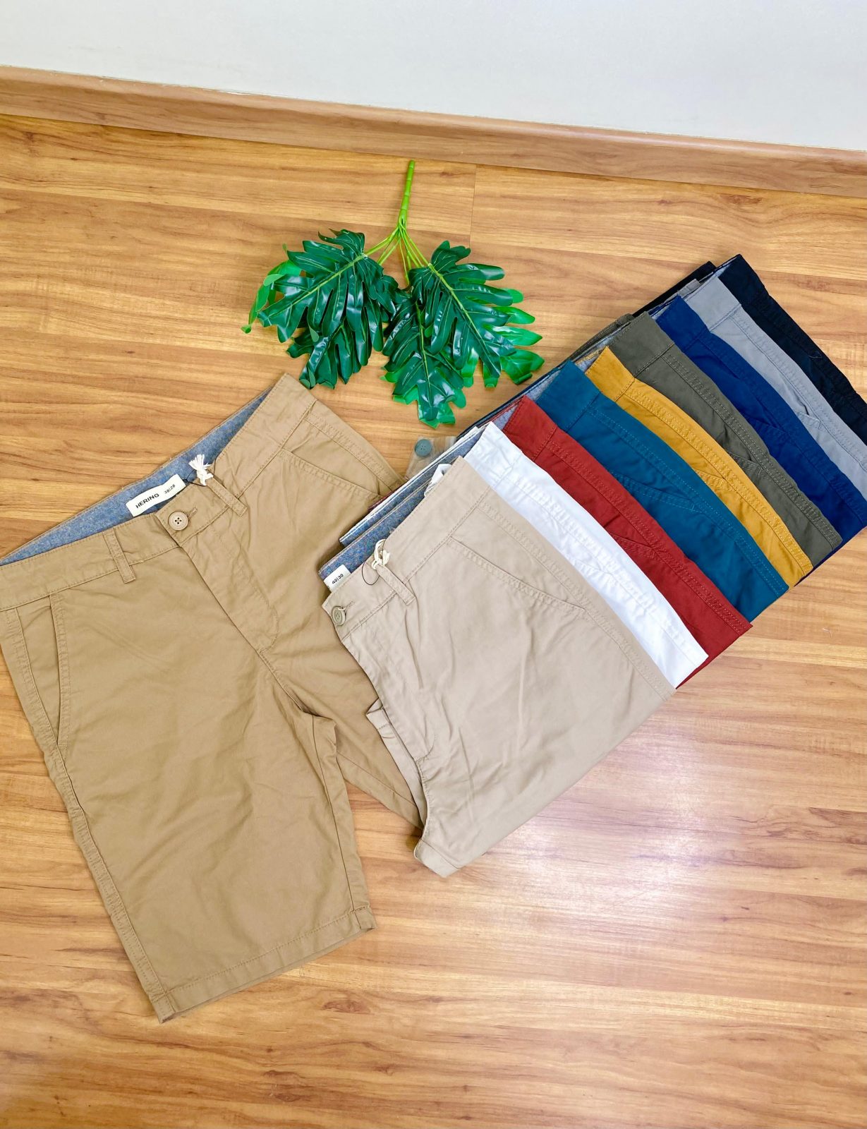 BERMUDA MASC
