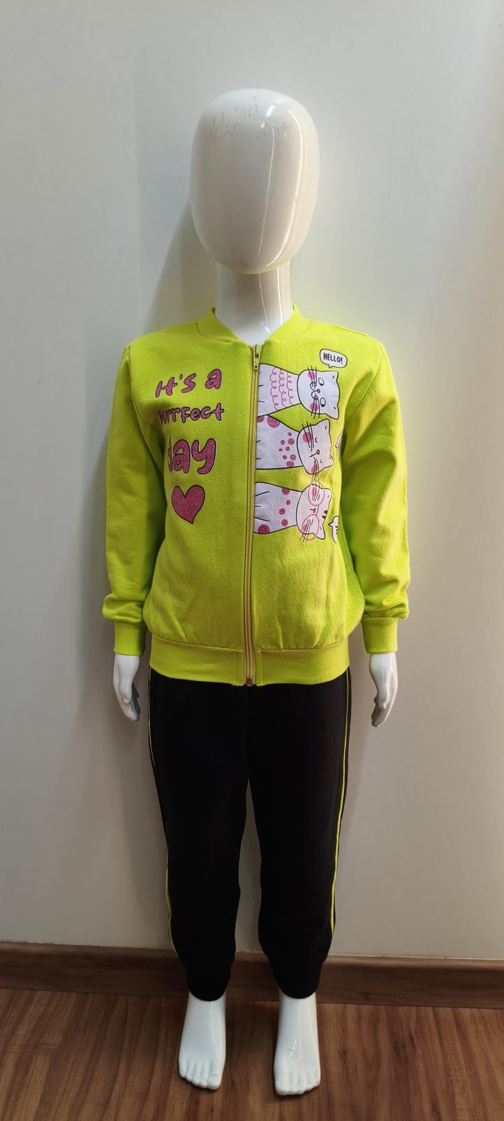 CONJ FEM INF MLTM R01